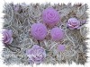 setje roosjes - roze